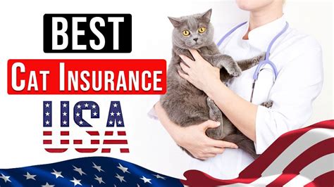 pet insurance for cats reviews.